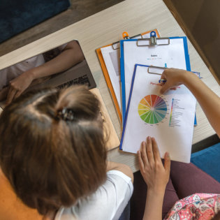 Woman looking at the pie chart result